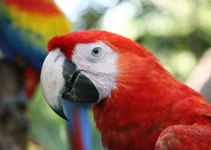 Éducazoo