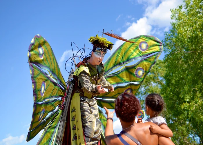 Les Ailes du Vent